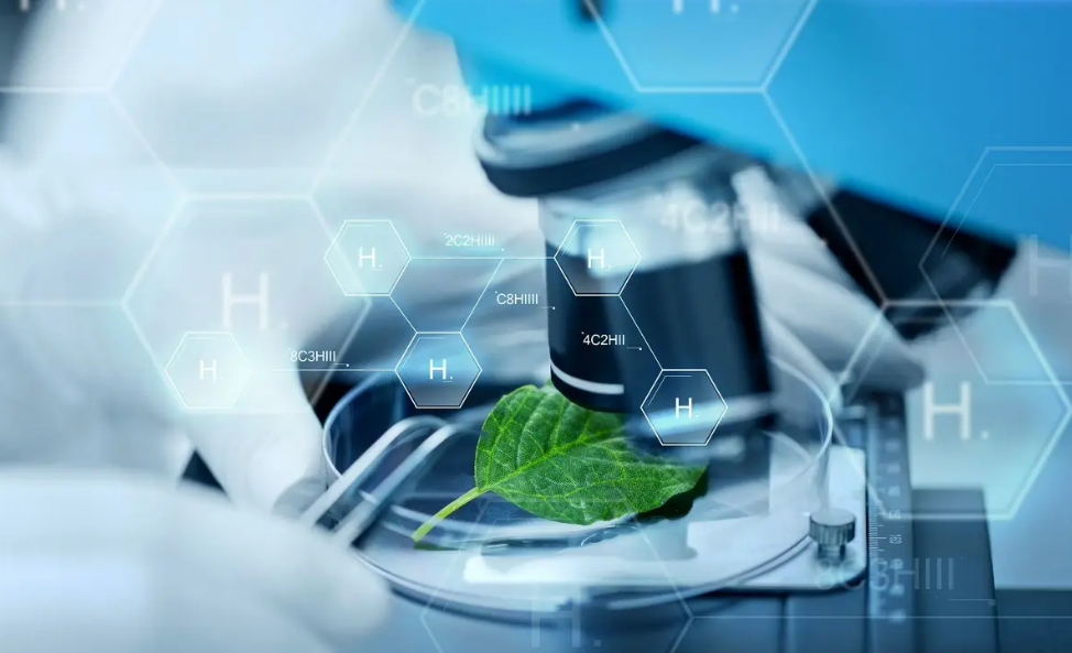 合肥醫(yī)學(xué)翻譯，醫(yī)學(xué)英文翻譯所需要注意的技巧