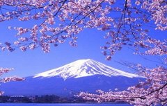 日本翻譯導(dǎo)游水平低，中文不過關(guān)