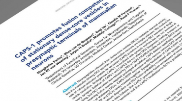 合肥論文翻譯如何收費？